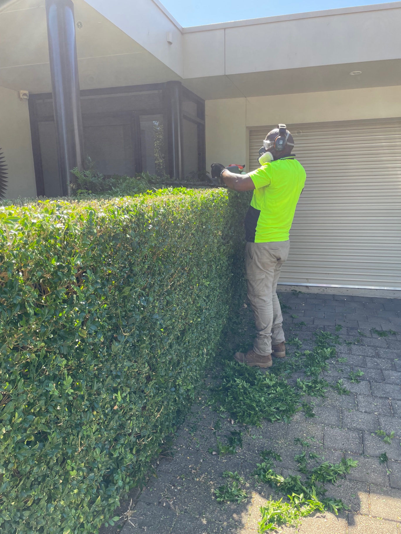 Gardener trimming a tall hedge with a hedge trimmer